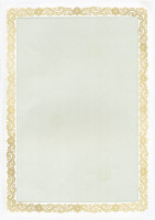 Dyplom szkolny A4 20 arkuszy 190g Maori zielony Argo