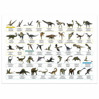 Podkład oklejany edukacyjny Dinozaury POEDN Derform