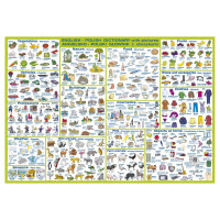 Podkład oklejany Słownik planszowy polsko-angielski SPOA Derform