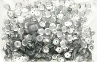 Cekiny błyszczące 8mm 10g srebrne B200 Brewis